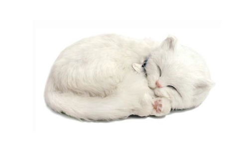Siamese Cat Precious Petzzz 